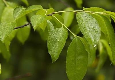 说人品不好的经典语录(汇总40句)