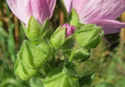 评课经典语录(推荐20句)