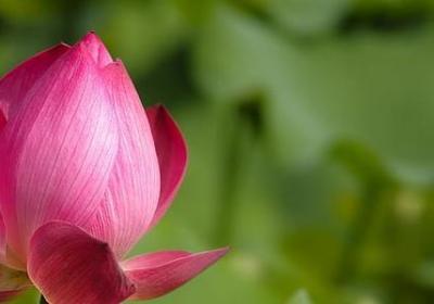 超脱经典语录(50句)