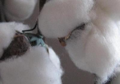 谎言被揭穿的经典语录(通用50句)