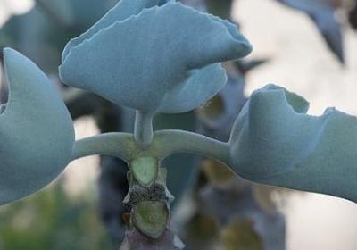 董卿的经典语录(热门60句)