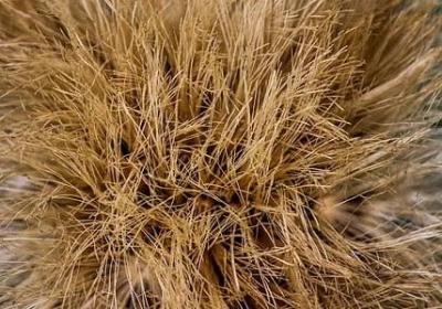 说话的艺术经典语录(90句)