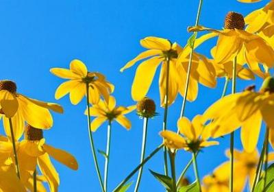 蒋勋经典语录(实用15句)