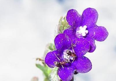 许三多经典语录(汇总40句)