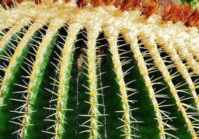 赞美别人的经典语录(合集70句)