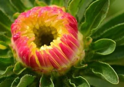 莫言红高粱经典语录(必备70句)