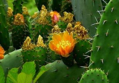 跑步语录经典语录(必备60句)