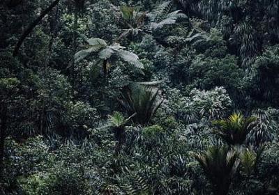 计划与变化的经典语录(精选59句)