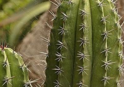 论法的精神经典语录(必备40句)