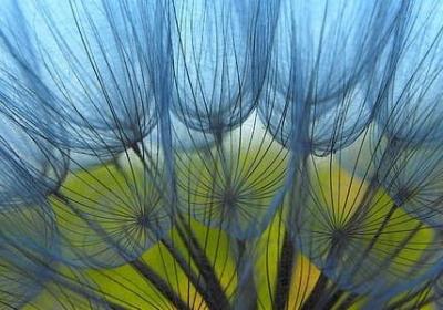 蛊真人经典语录(通用80句) 蛊真人经典语录(通用80句)