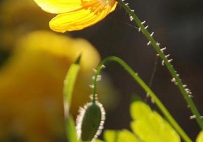 花样年华经典语录(合集60句) 花样年华经典语录(合集60句)