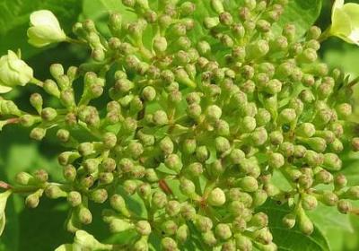 西点军校经典语录(必备100句) 西点军校经典语录(必备100句)