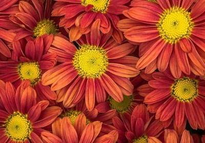 董卿经典语录(必备61句) 董卿经典语录(必备61句)