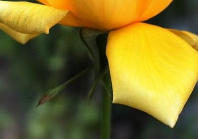 评价民谣的经典语录(合集34句) 评价民谣的经典语录(合集34句)