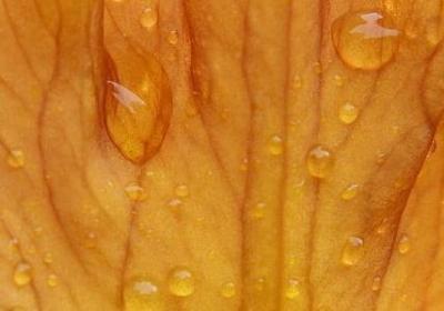 詹姆斯经典语录(优选20句) 詹姆斯经典语录(优选20句)