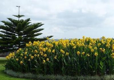 花千骨台词经典语录(必备90句) 花千骨台词经典语录(必备90句)