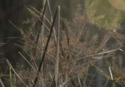 诸子百家经典语录300句(推荐40句) 诸子百家经典语录300句(推荐40句)