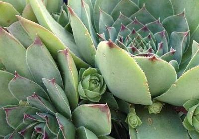 董卿说过的经典语录(30句) 董卿说过的经典语录(30句)