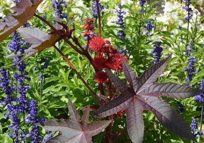 记住别人的好经典语录(汇总60句) 记住别人的好经典语录(汇总60句)