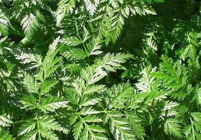 英文经典语录爱情(实用36句) 英文经典语录爱情(实用36句)