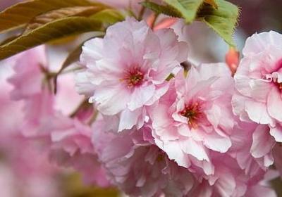 蜘蛛侠 经典语录(40句) 蜘蛛侠 经典语录(40句)