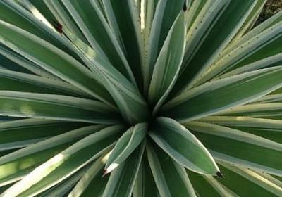 芳华经典语录(精选70句) 芳华经典语录(精选70句)