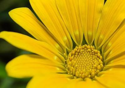 调整心态的经典语录(热门50句) 调整心态的经典语录(热门50句)