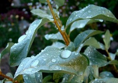 西方哲学家经典语录(精选80句) 西方哲学家经典语录(精选80句)