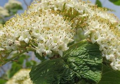 讽刺心胸狭窄经典语录(汇总39句) 讽刺心胸狭窄经典语录(汇总39句)