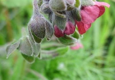 跑男经典语录(合集40句) 跑男经典语录(合集40句)