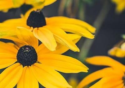 路遥的人生经典语录(合集40句) 路遥的人生经典语录(合集40句)