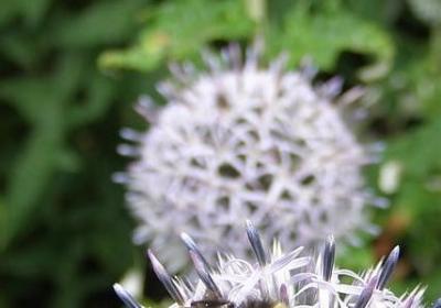 解药经典语录(必备20句) 解药经典语录(必备20句)