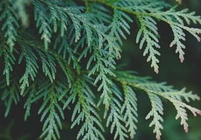 詹俊经典语录(推荐50句)