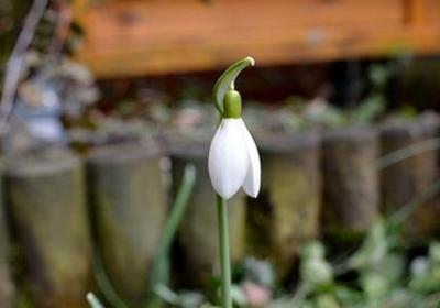 舞蹈经典语录(必备20句)