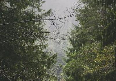 茶馆经典语录(实用60句)