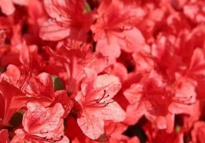 读书经典语录(优选20句)