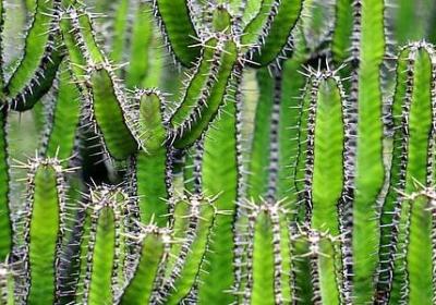 贺涵经典语录台词(优选60句)