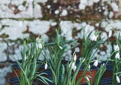 言情小说中的经典语录(必备40句)