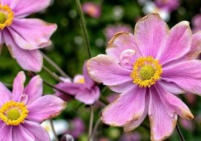 荒天帝经典语录(必备89句)