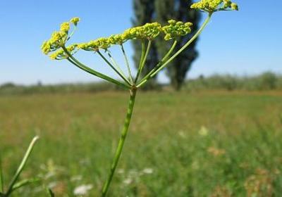 路人女主的养成方法经典语录(精选40句)