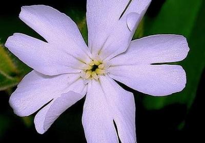 贺涵的经典语录(推荐40句)