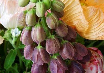 董卿诗词大会经典语录(精选40句)