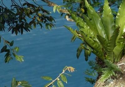 若干年以后的经典语录(共50句)