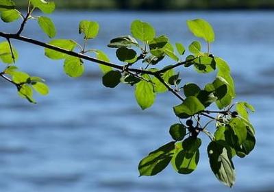 莎士比亚暴风雨经典语录(推荐41句)