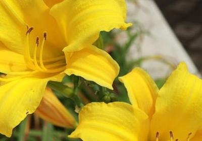 说说经典语录(优选78句)