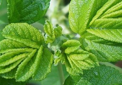 大秦帝国的经典励志句子(共50句)