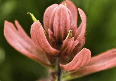 解释误会的经典语录(合集40句)