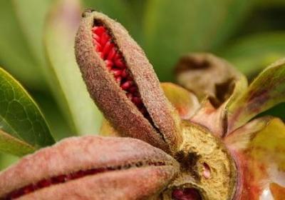 讽刺势利眼的经典语录(共60句)