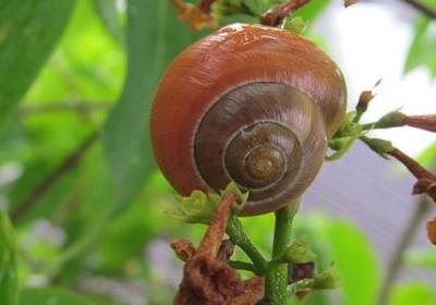 货币战争经典语录(通用50句)