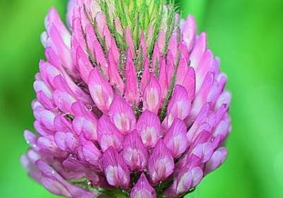 跟着老板混的经典语录(推荐60句)